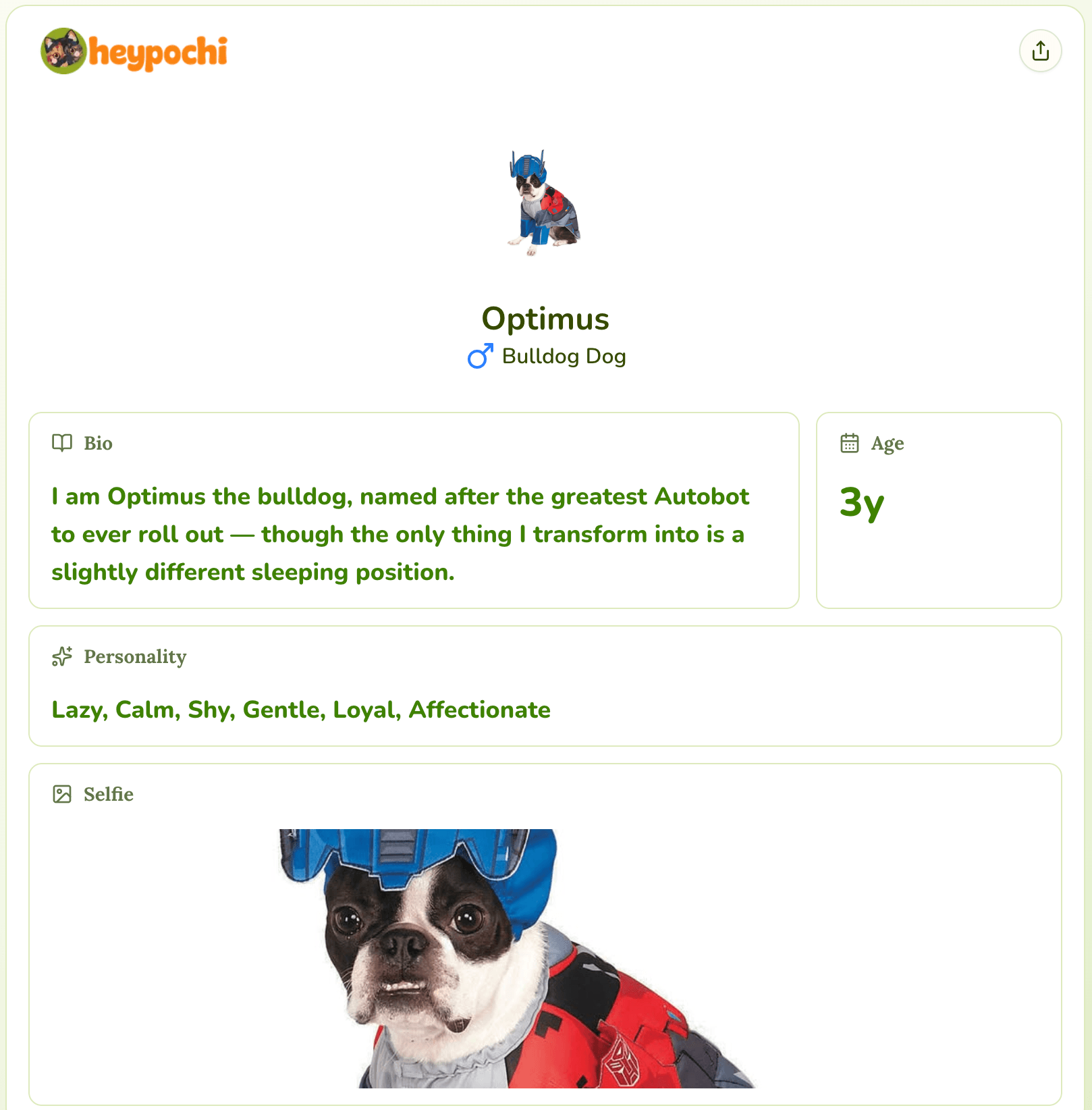 Finished pet profile page showcasing blocks and photos.